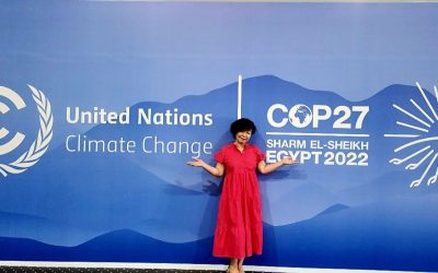 GABI Moderates Panel Discussion at COP27 in Egypt